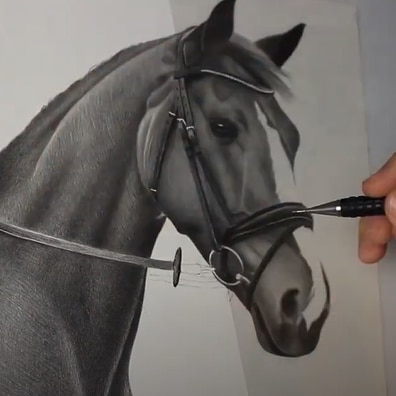 Como Desenhar um Cavalo Realista por Carlos Santana - Desenhos Realistas